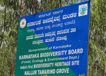 ಕೋವಿಡ್‌ ಅವಧಿಯಲ್ಲಿ ವ್ಯಾಪಕ ಅರಣ್ಯನಾಶ; ಸಮೀಕ್ಷಾ ವರದಿಯನ್ನೇ ಮುಚ್ಚಿಟ್ಟ ಜೀವವೈವಿಧ್ಯ ಮಂಡಳಿ