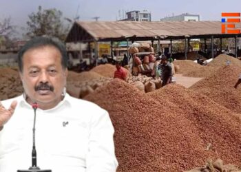 ನೆಲಗಡಲೆ ದರ ಹೆಚ್ಚಳ; ಬಿತ್ತನೆ ಬೀಜ ದರ ಪರಿಷ್ಕರಣೆಗೆ ಒಪ್ಪದ ಸರಬರಾಜುದಾರರು, ಕೈ ಚೆಲ್ಲಿದ ಸಚಿವರು