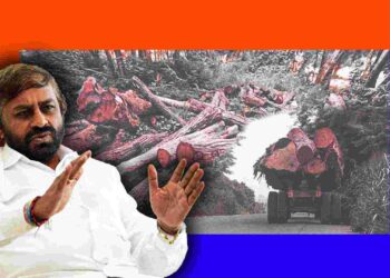 ಮರಗಳ ಅಕ್ರಮ ಕಡಿತಲೆ, ಹದ್ದಿನ ಕಣ್ಣಿನ ನಡುವೆಯೂ ಹೊರರಾಜ್ಯಗಳಿಗೆ ಸಾಗಣೆ; ಕೋಟ್ಯಂತರ ರು ನಷ್ಟ