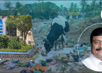 Solid Waste management by Local Bodies